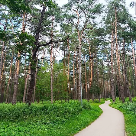 La Vida * Druskininkai