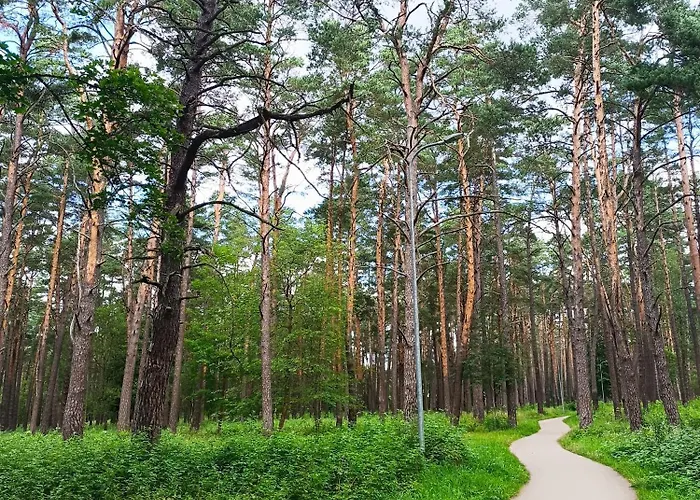 La Vida * Druskieniki